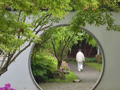 -上海醉白池公园