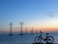 -宝安西湾红树林湿地公园