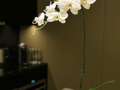 -成都博舍酒店