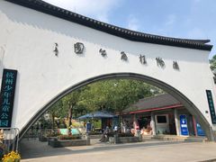 -杭州少年儿童公园