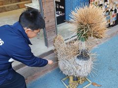 -西双版纳原始森林公园