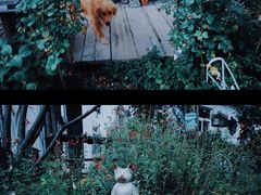 -荒度咖啡(北九水店)