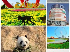 -泰山风景名胜区