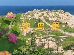 -揭阳楼