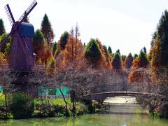 -捞渔河湿地公园