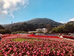 -广州市石门国家森林公园