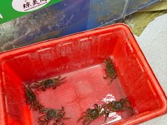 -阳澄湖大闸蟹·琼灵阁牌品牌连锁(吴中总店)