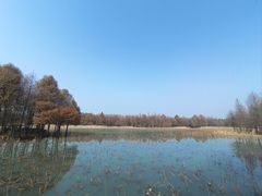 -苏州东太湖生态园