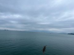 -七鲜渔港美食餐厅(巽寮湾海景店)