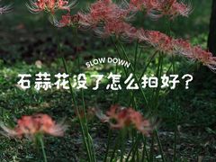 -杭州植物园