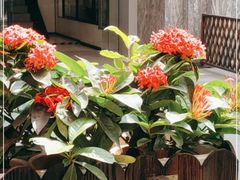 -小粤楼·怀旧粤菜(万辉国际广场店)
