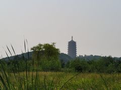 -永定河休闲森林公园