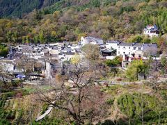 -塔川景区