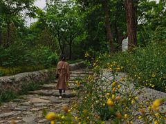 -阳台山自然风景区