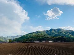 -大连天门山国家森林公园
