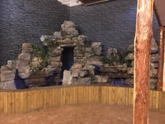 -明日世界密室轰趴·剧本桌游·箭馆团建(国贸店)