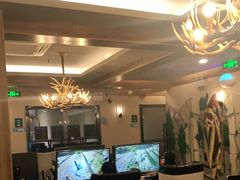 -网鱼电竞(杨浦中原店)