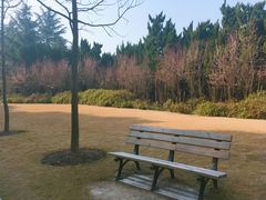 -上海市龙华烈士陵园