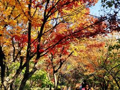 -妙峰山风景名胜区