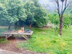 -西安秦岭野生动物园
