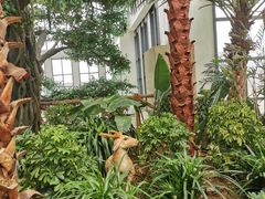 -悦隆庄温泉度假酒店