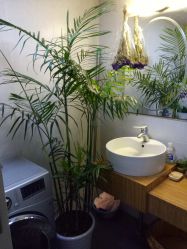 -尚美日式美甲美睫工作室