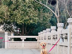 -杭州半山国家森林公园