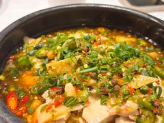 -新蜀会四川豆花(五羊店)