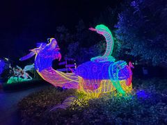 -南宫五洲植物乐园