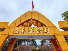 -金花茶公园