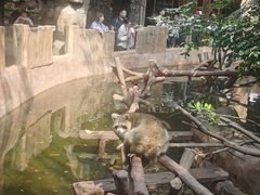 -长鹿旅游休博园