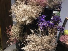 -馬蘭花開(车站大道店)