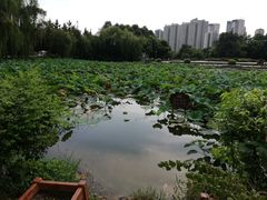 -三圣花乡旅游区