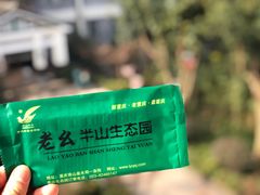 -老幺泉水鸡