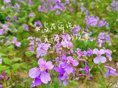 -白塘生态植物园