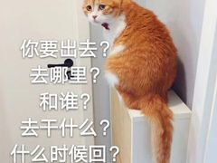 -石厦(地铁站)
