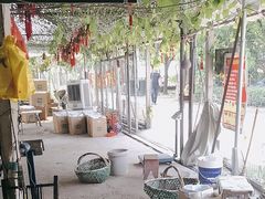 -马陆小张葡萄园农家乐