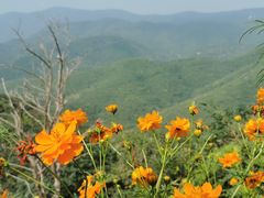 -北京西山国家森林公园