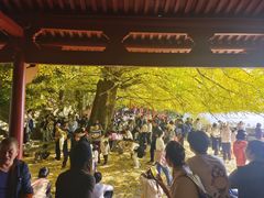 -大慈岩风景区