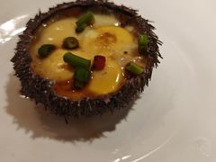 海胆蒸蛋-倍儿美海鲜排挡·非遗海鲜蒸饺(洋货店)