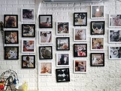 -平行世界·猫咖(首经贸店)
