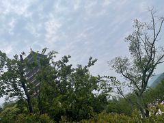 -牛首山文化旅游区