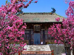 -狮脑山森林公园