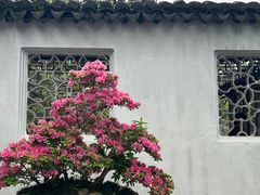 -拙政园