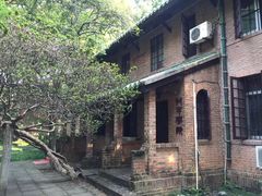 -中山大学学者灵芝(园南路店)