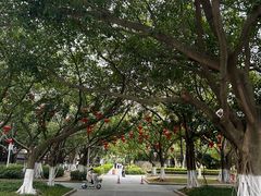 -厦门大学(思明校区)