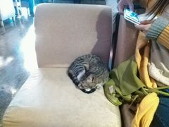 android_upload_pic-赢吧Bliss音乐酒吧