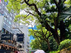 -海港城