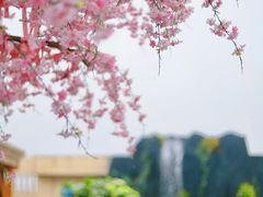 -Blue Concept Cafe&Farm·關於藍