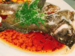 清蒸青斑鱼-新宝城海鲜坊(大浪店)